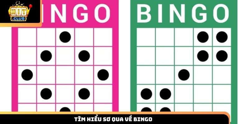 Tìm hiểu sơ qua về Bingo