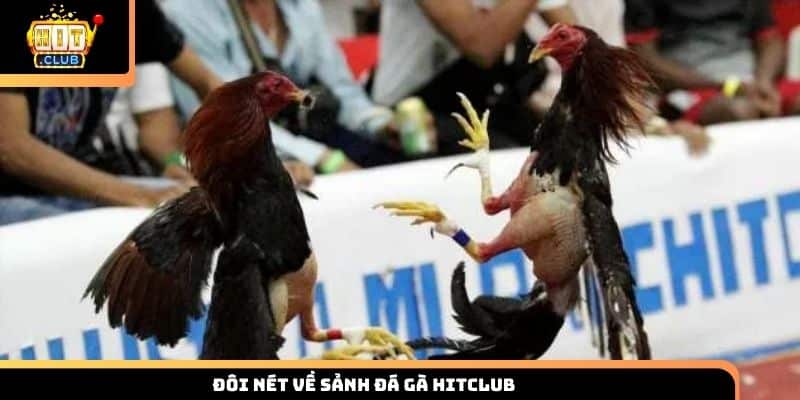Đôi nét về sảnh đá gà Hitclub