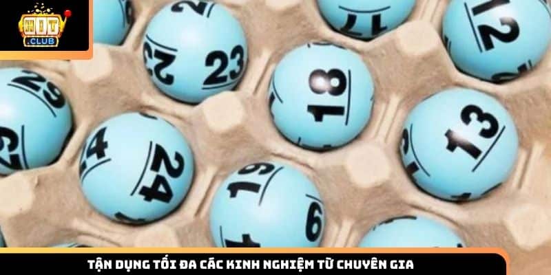 Tận dụng tối đa các kinh nghiệm từ chuyên gia