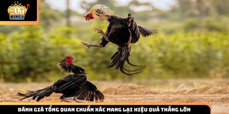 Đánh giá tổng quan chuẩn xác mang lại hiệu quả thắng lớn