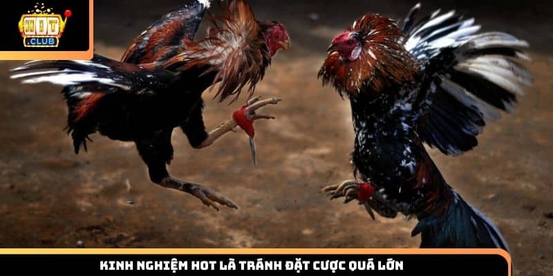 Kinh nghiệm hot là tránh đặt cược quá lớn