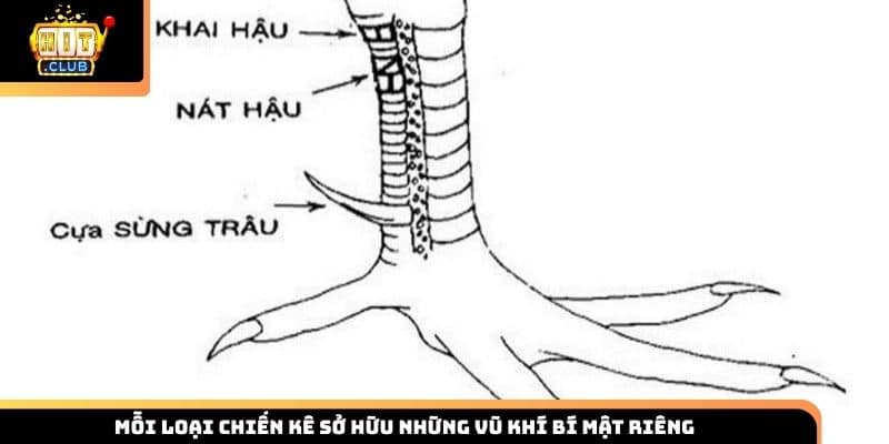Mỗi loại chiến kê sở hữu những vũ khí bí mật riêng
