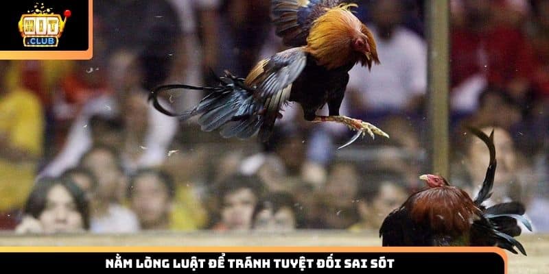 Nằm lòng luật để tránh tuyệt đối sai sót
