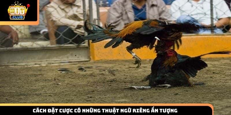 Cách đặt cược có những thuật ngữ riêng ấn tượng